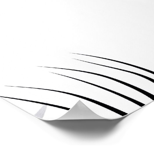 Poster La donna ragno (Coin)