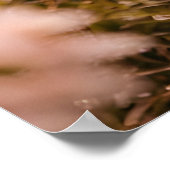 Poster La façon dont nous restons (Coin)