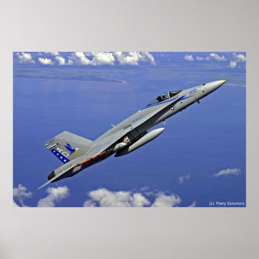 POSTER LA FALAISE (Devant)