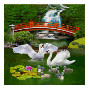 POSTER LA FAMILLE SWAN