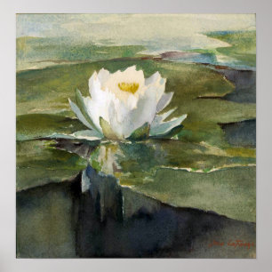 Poster La Farge - Nénuphar au soleil