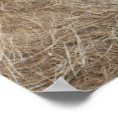 Poster La faune africaine (Coin)