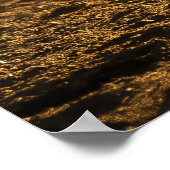 Poster La faune africaine Impala dans le lit de la rivièr (Coin)