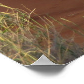 Poster La faune africaine Oryx Antelope Dune Savannah (Coin)