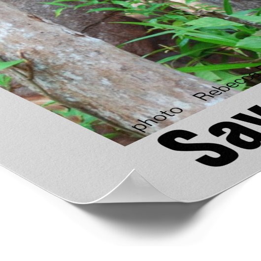 Poster La faune de la forêt pluviale (Coin)