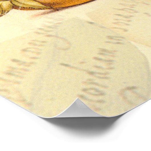 Poster La faune de la libellule (Coin)