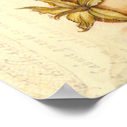 Poster La faune de la libellule (Coin)