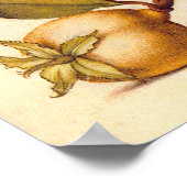 Poster La faune de la libellule (Coin)