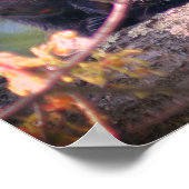 Poster La faune de la Porcupine (Coin)