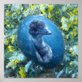 Poster La faune d'Emu (Devant)