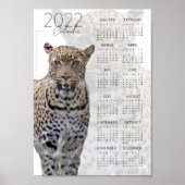 Poster La faune léopard Calendrier 2022 (Devant)