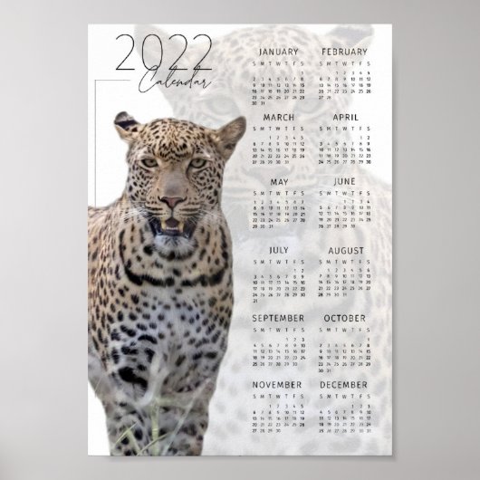 Poster La faune léopard Calendrier 2022 (Devant)