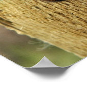 Poster La fausse chenille (Coin)