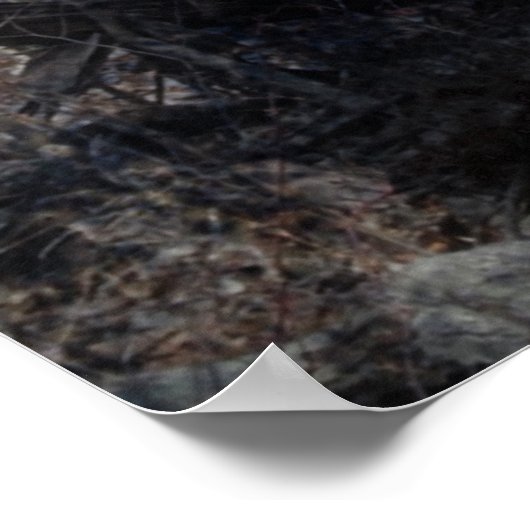 Poster La fée et l'arbre du magicien (Coin)