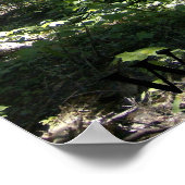 Poster La Fée Monhegan (Coin)