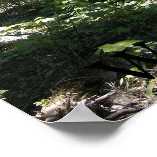 Poster La Fée Monhegan (Coin)