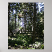 Poster La Fée Monhegan (Devant)