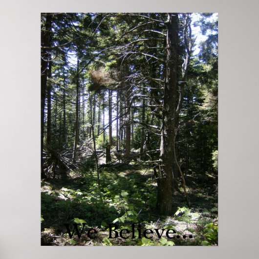 Poster La Fée Monhegan (Devant)