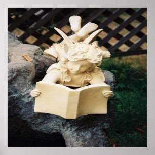 Poster La Féerie à lire dans un étang de Koi.......