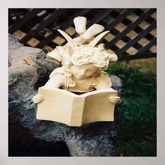 Poster La Féerie à lire dans un étang de Koi....... (Devant)