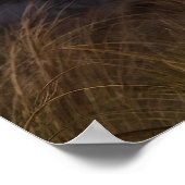 Poster La femme sage (Coin)