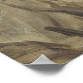 Poster La femme tzigane, c.1628-30 (Coin)