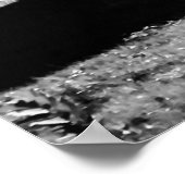 Poster La Ferme (Coin)