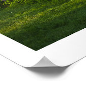 Poster La ferme John Brown dans les Adirondacks, N.Y. (Coin)