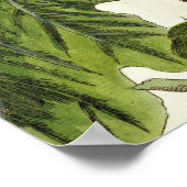 Poster La Fig Tree, plate 125 from 'A Curious Herbal', p (Coin)