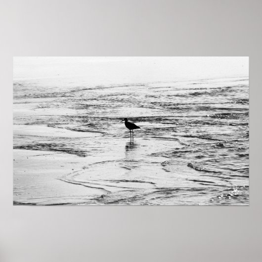 Poster La fin des vagues (Devant)