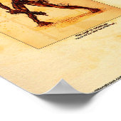 Poster La fin du monde (Coin)