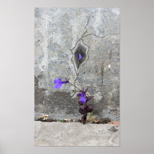 Poster La fissure dans le mur