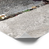 Poster La fissure dans le mur (Coin)