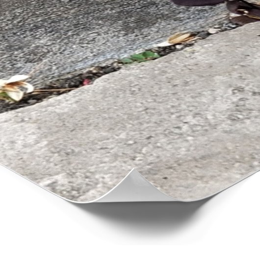 Poster La fissure dans le mur (Coin)