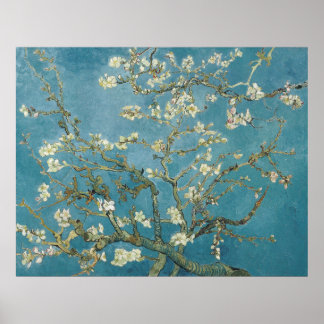 Poster La fleur d'amandes de Van Gogh