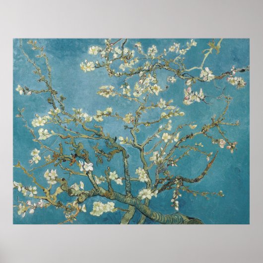 Poster La fleur d'amandes de Van Gogh (Devant)