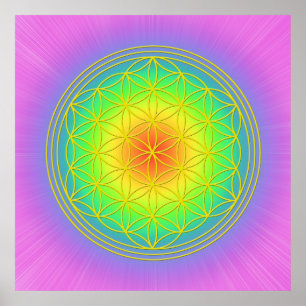 Poster La Fleur de la vie Chakra 1