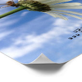 Poster La fleur des abeilles (Coin)