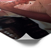 Poster La fleur du drame maléfique coréen (Coin)