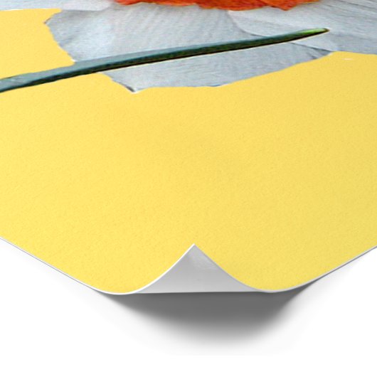 Poster La Fleur du professeur Einstein (Coin)