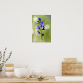 Poster La floraison d'un lys à camas dans le comté de Val (Cuisine)
