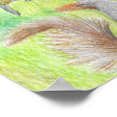 Poster La flore et la faune (Coin)