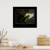 Poster La flore et la faune (Cuisine)