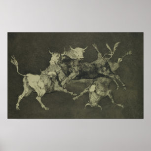 Poster La folie des taureaux