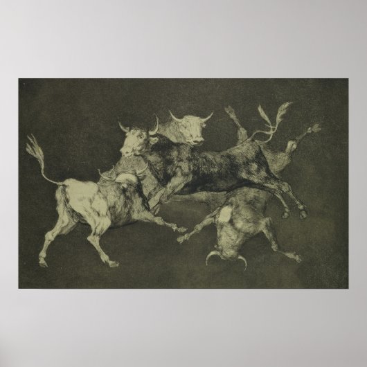 Poster La folie des taureaux (Devant)