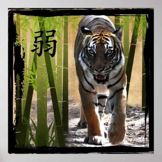 Poster La force de Christin (Devant)