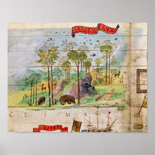 Poster La forêt canadienne (Devant)