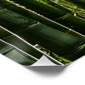 Poster La forêt de Bamboo (Coin)