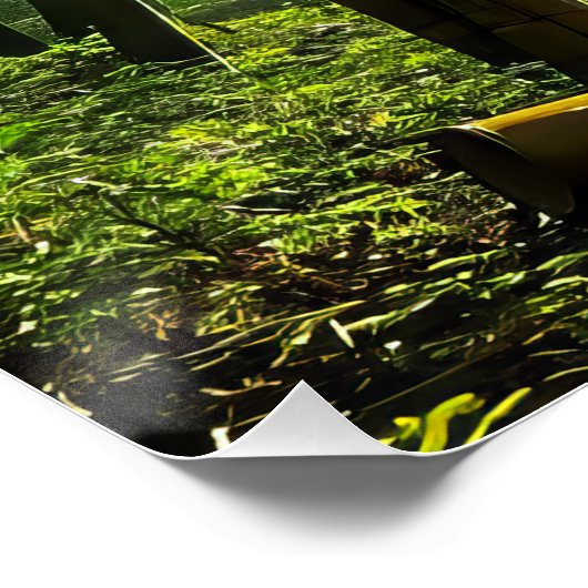 Poster La forêt de Bamboo (Coin)