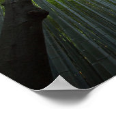 Poster La forêt de Bamboo (Coin)